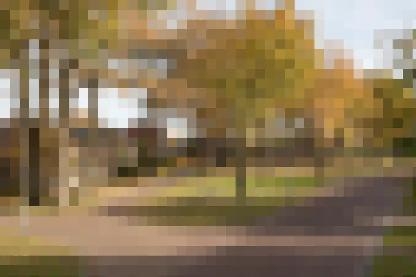Grote Brink 31 Rolde thumbnail 4