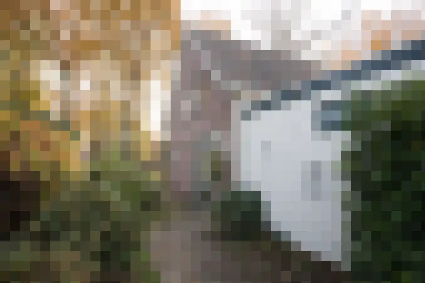 Grote Brink 31 Rolde thumbnail 42