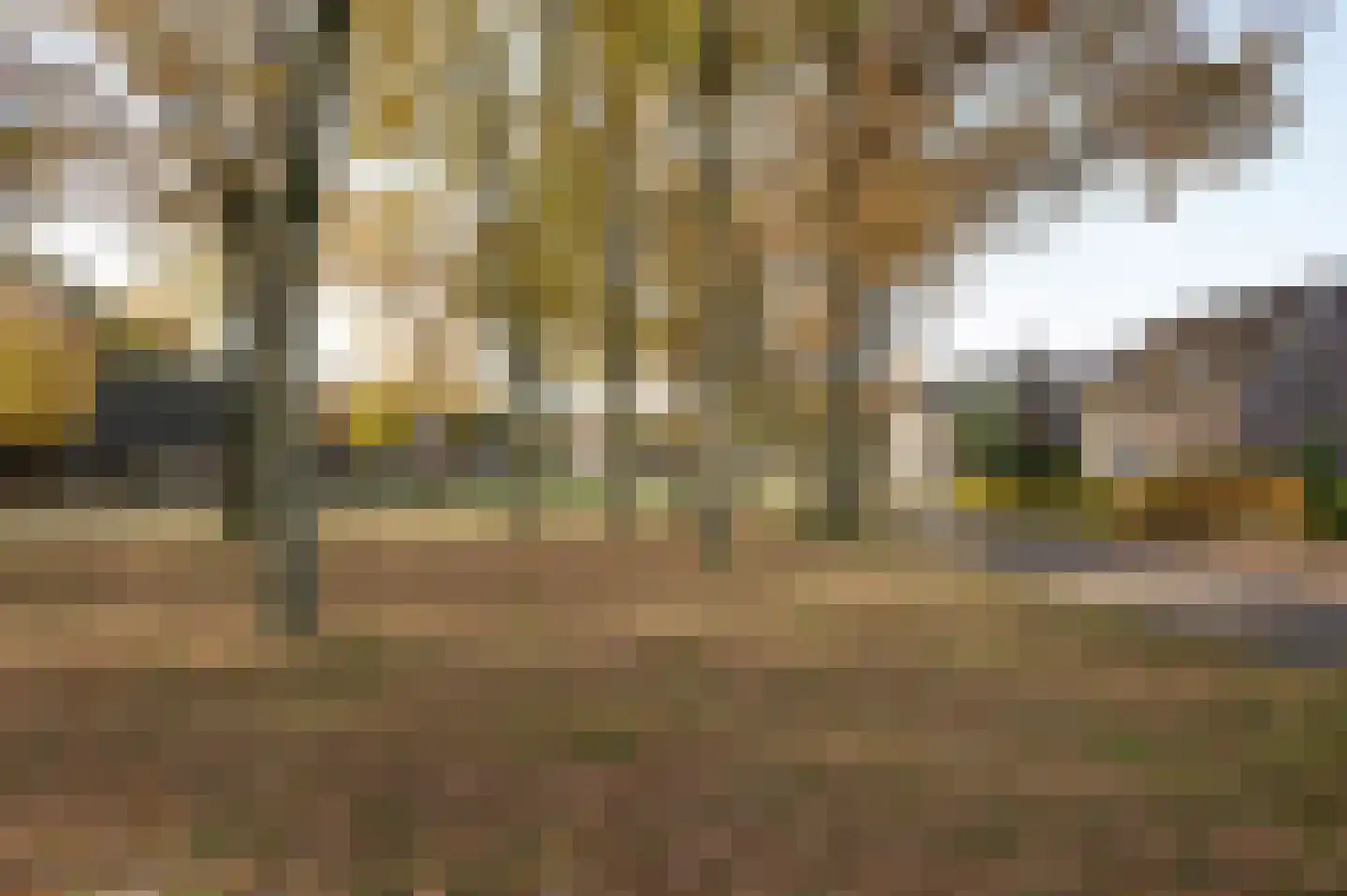 Grote Brink 31 Rolde thumbnail 5