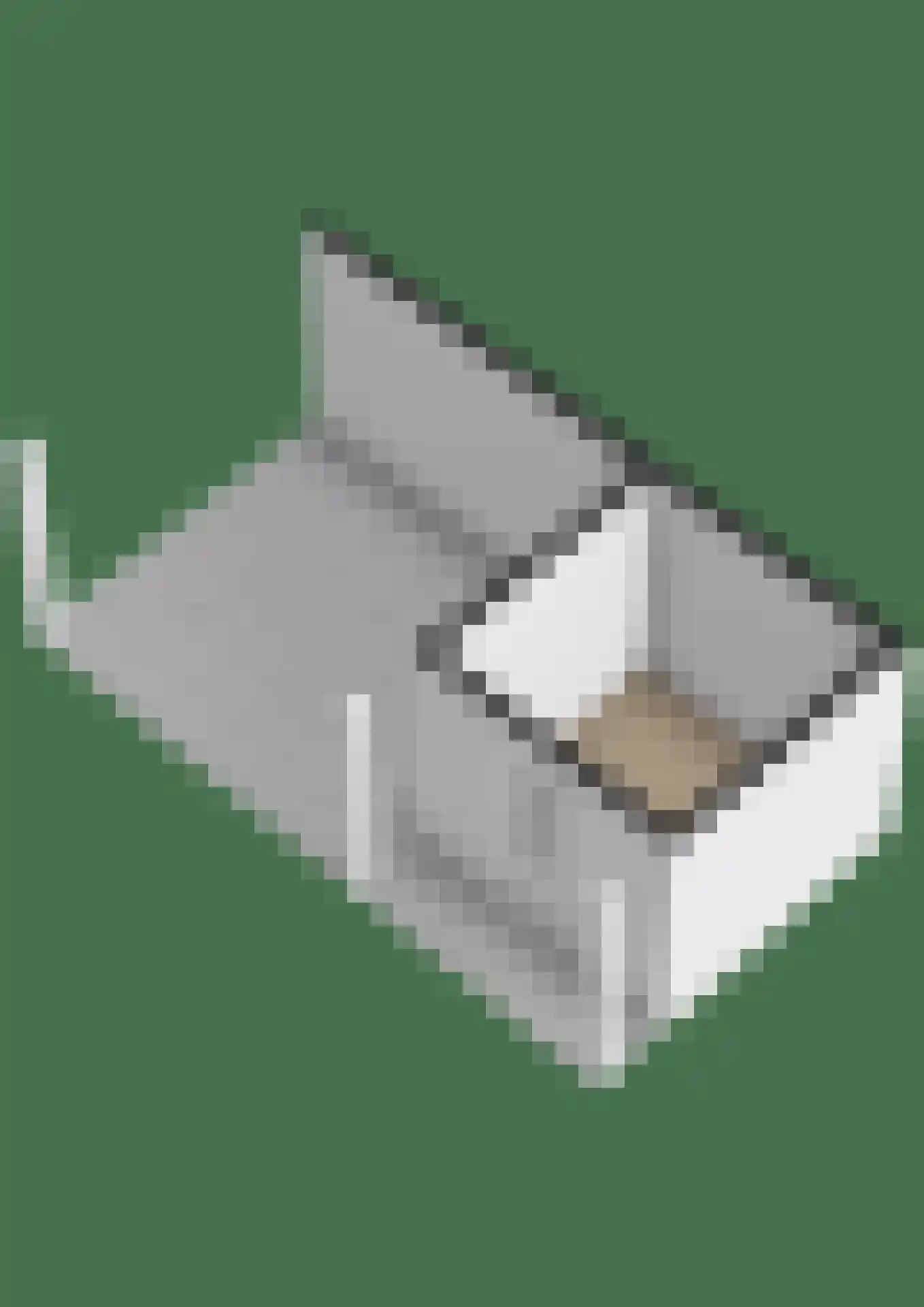 Grote Brink 31 Rolde thumbnail 56
