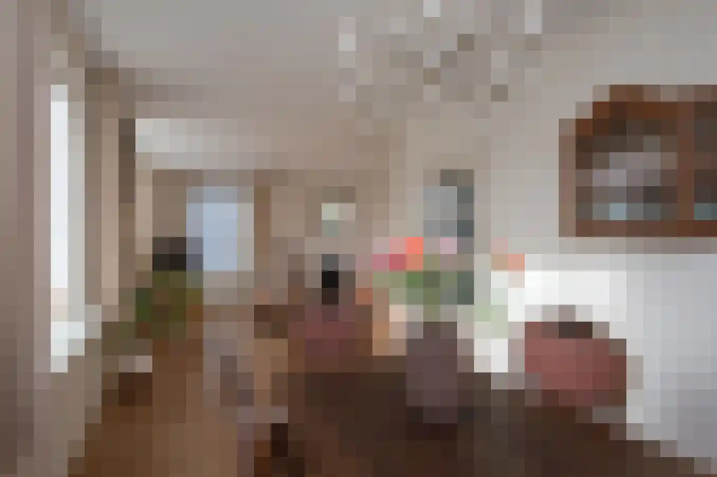 Grote Brink 31 Rolde thumbnail 8
