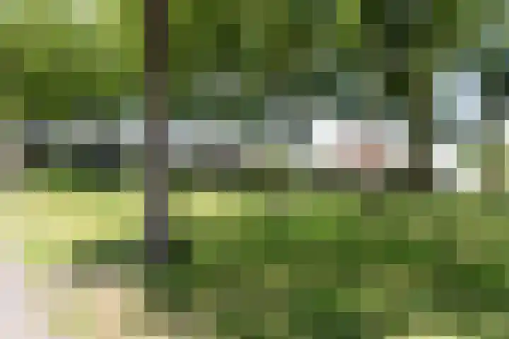 Grote Brink 33 Rolde thumbnail 100