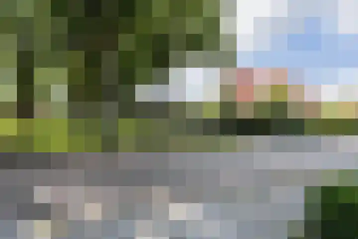 Grote Brink 33 Rolde thumbnail 102