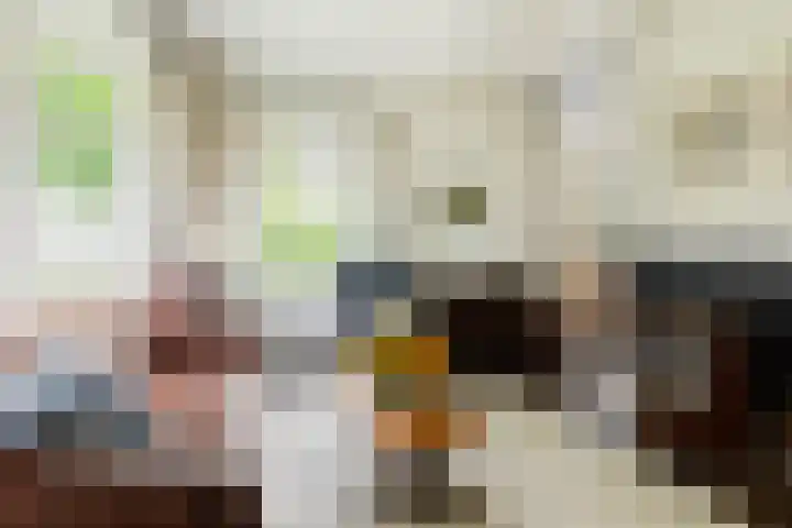 Grote Brink 33 Rolde thumbnail 17