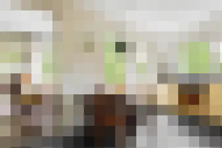 Grote Brink 33 Rolde thumbnail 19
