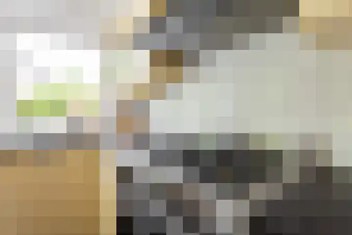 Grote Brink 33 Rolde thumbnail 22