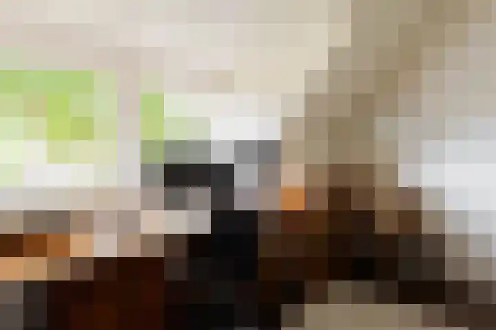 Grote Brink 33 Rolde thumbnail 42