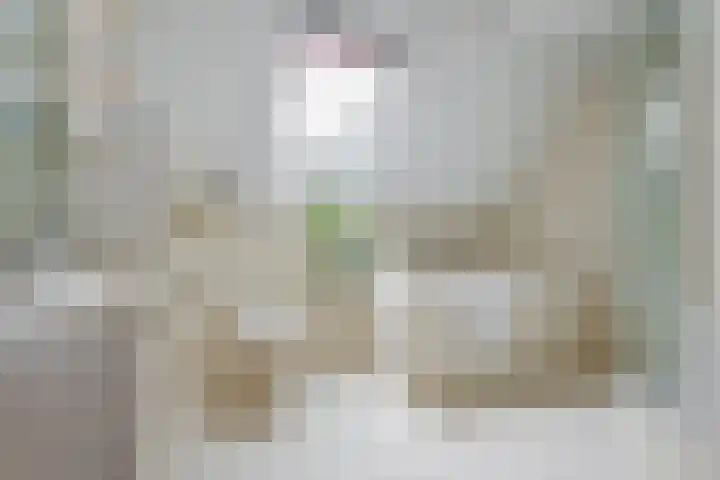 Grote Brink 33 Rolde thumbnail 43