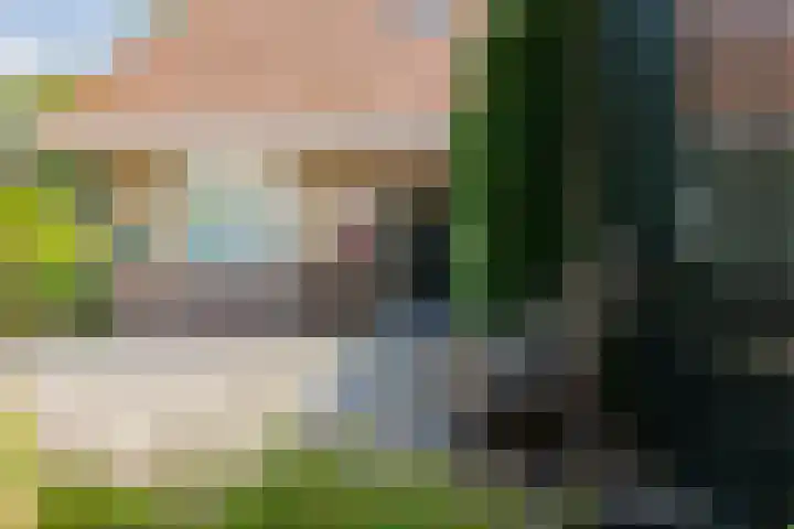 Grote Brink 33 Rolde thumbnail 55