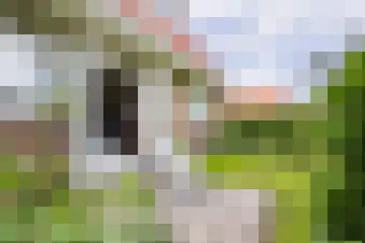 Grote Brink 33 Rolde thumbnail 64