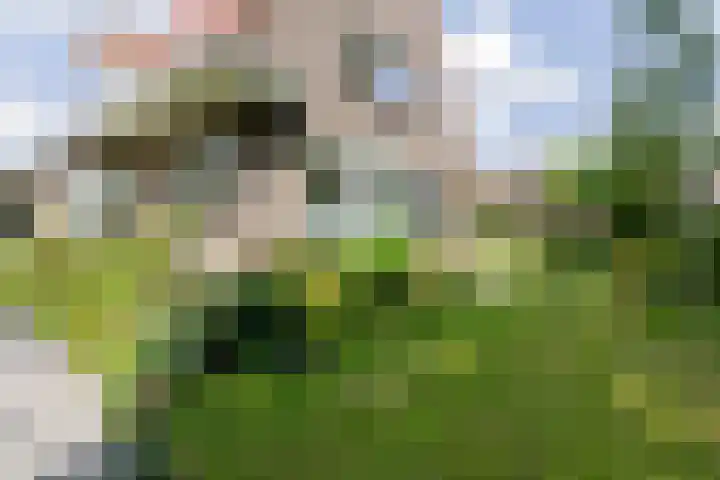Grote Brink 33 Rolde thumbnail 84