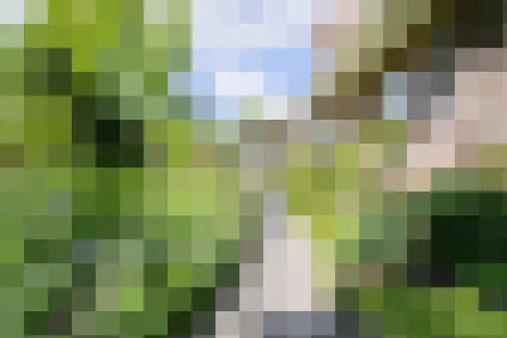 Grote Brink 33 Rolde thumbnail 86