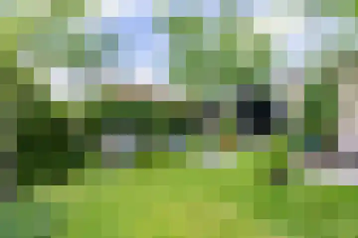 Grote Brink 33 Rolde thumbnail 92