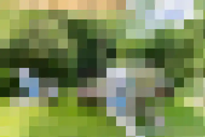 Grote Brink 33 Rolde thumbnail 93