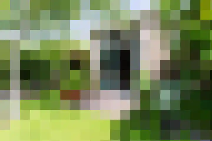 Grote Brink 33 Rolde thumbnail 96