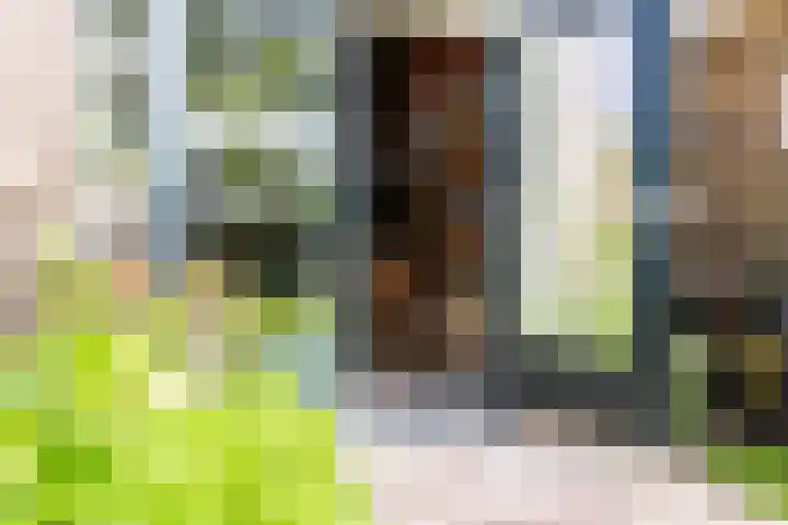 Grote Brink 33 Rolde thumbnail 98