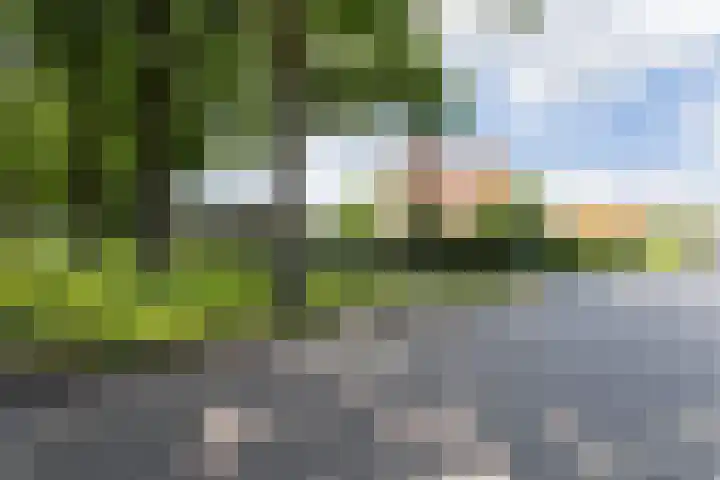 Grote Brink 33 Rolde thumbnail 99