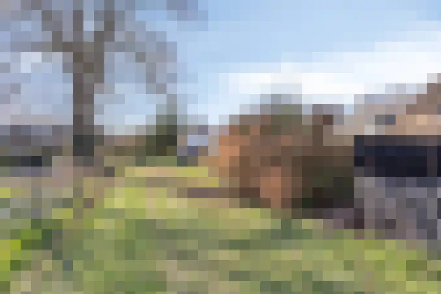 Grote Brink 40 a Rolde thumbnail 44
