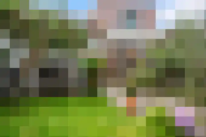 Grote Buitendijk 106 Velserbroek thumbnail 14