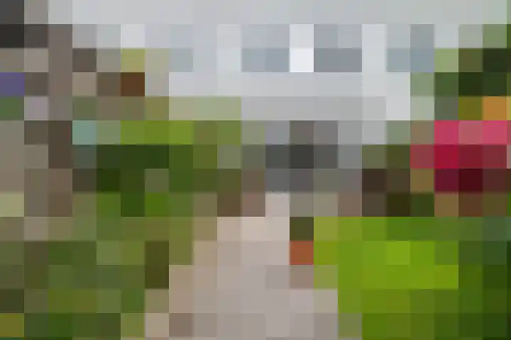Grote Buitendijk 106 Velserbroek thumbnail 15