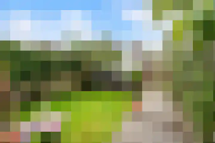 Grote Buitendijk 106 Velserbroek thumbnail 16