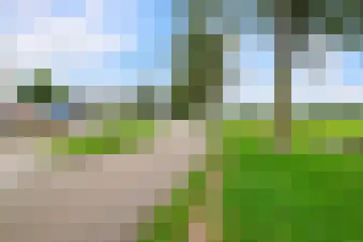 Grote Buitendijk 106 Velserbroek thumbnail 31