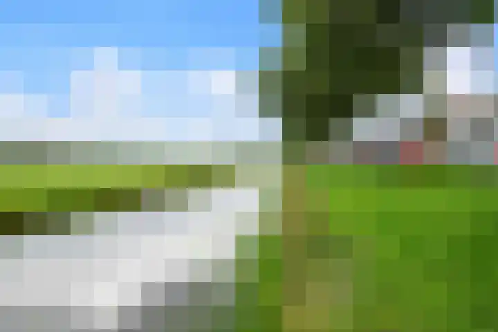 Grote Buitendijk 106 Velserbroek thumbnail 32