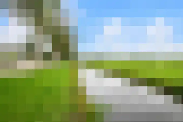 Grote Buitendijk 106 Velserbroek thumbnail 33
