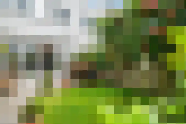 Grote Buitendijk 106 Velserbroek thumbnail 9