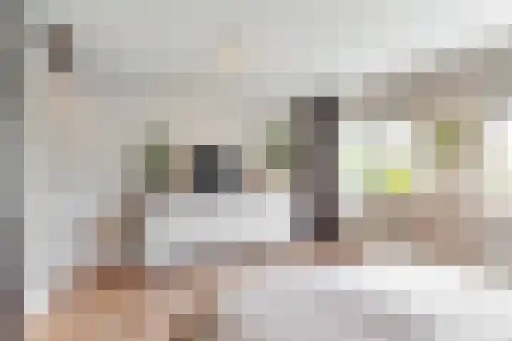 Grote Buitendijk 130 Velserbroek thumbnail 20