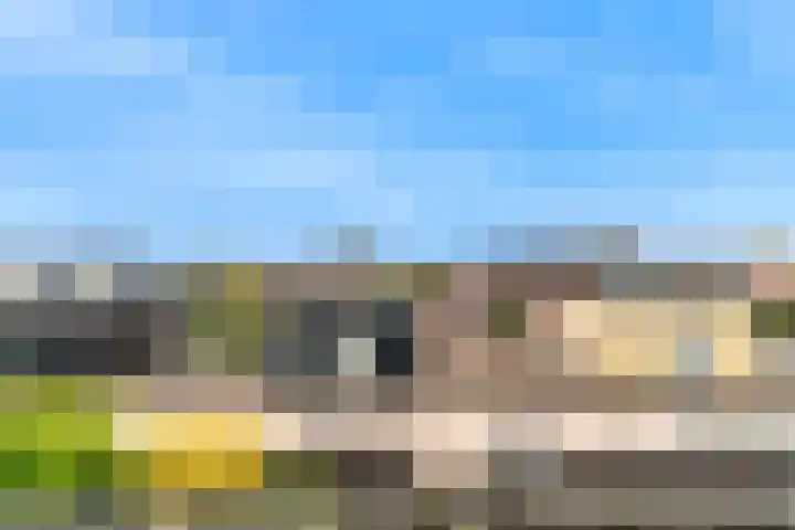 Grote Buitendijk 130 Velserbroek thumbnail 32