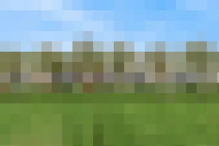 Grote Buitendijk 130 Velserbroek thumbnail 42