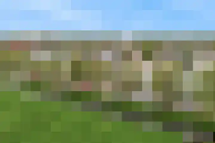 Grote Buitendijk 130 Velserbroek thumbnail 43