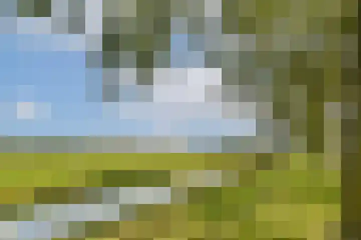 Grote Buitendijk 168 Velserbroek thumbnail 30