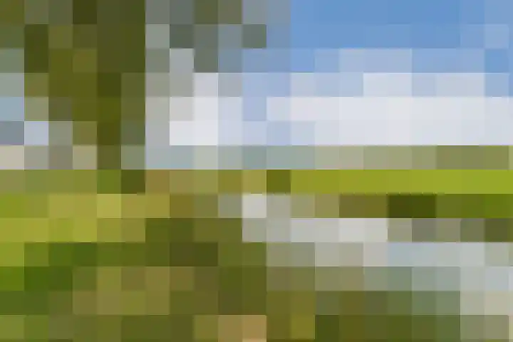 Grote Buitendijk 168 Velserbroek thumbnail 31