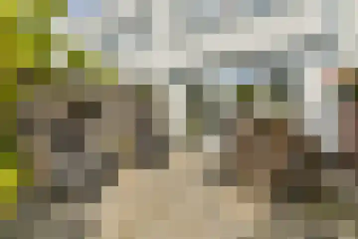 Grote Buitendijk 168 Velserbroek thumbnail 6