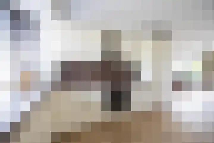 Grote Buitendijk 226 Velserbroek thumbnail 11