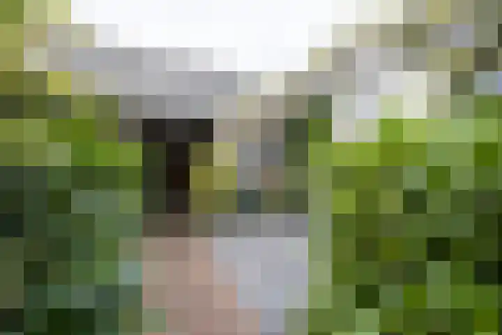 Grote Buitendijk 226 Velserbroek thumbnail 13