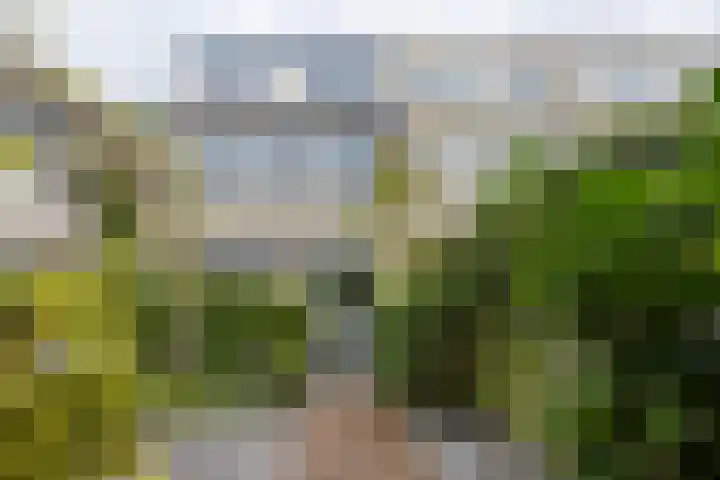 Grote Buitendijk 226 Velserbroek thumbnail 15