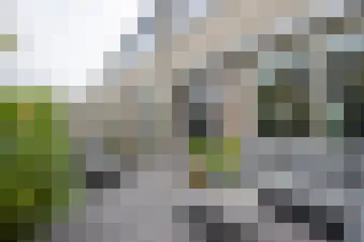 Grote Buitendijk 226 Velserbroek thumbnail 16