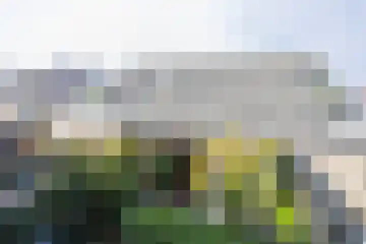 Grote Buitendijk 226 Velserbroek thumbnail 21