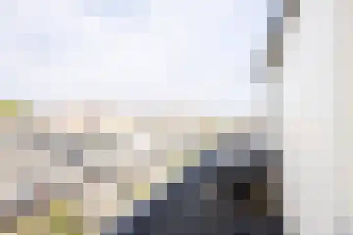 Grote Buitendijk 226 Velserbroek thumbnail 33