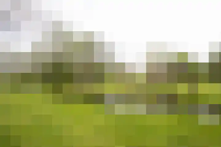 Grote Buitendijk 226 Velserbroek thumbnail 37