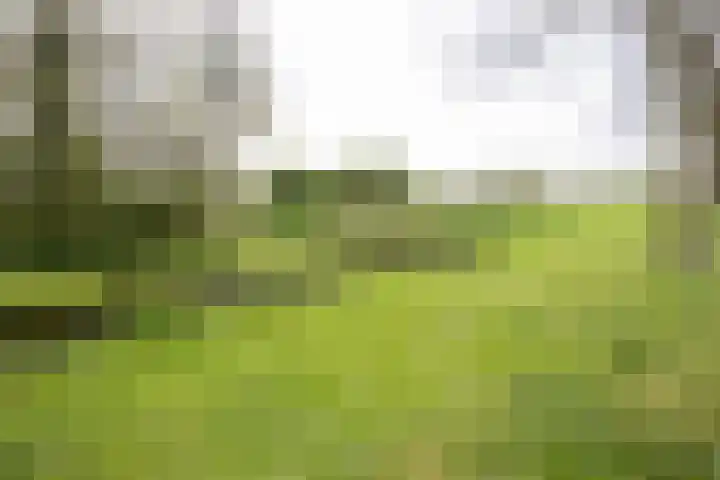 Grote Buitendijk 226 Velserbroek thumbnail 38