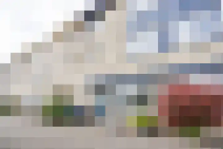 Grote Buitendijk 226 Velserbroek thumbnail 39