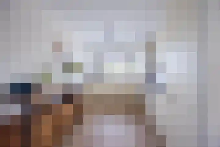 Grote Buitendijk 226 Velserbroek thumbnail 8