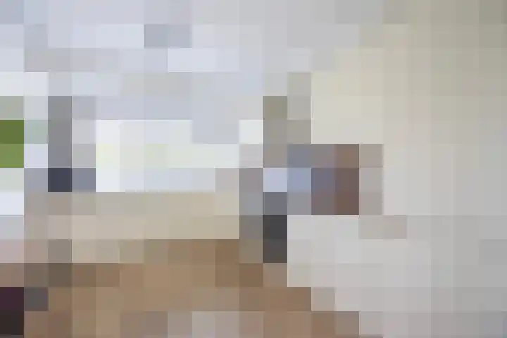 Grote Buitendijk 226 Velserbroek thumbnail 9