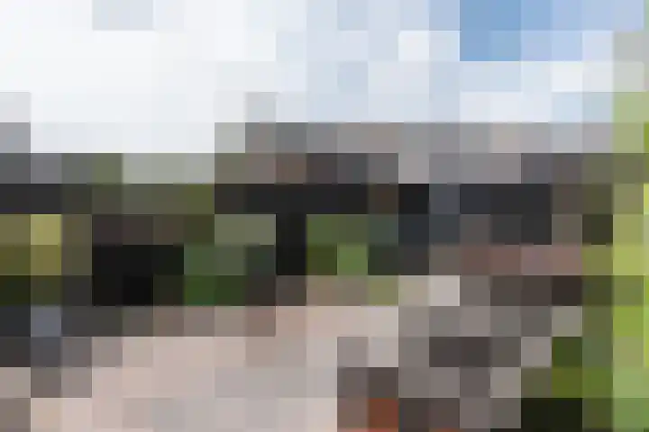 Grote Buitendijk 284 Velserbroek thumbnail 15