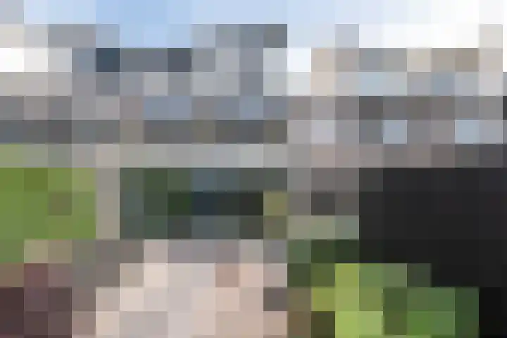 Grote Buitendijk 284 Velserbroek thumbnail 17