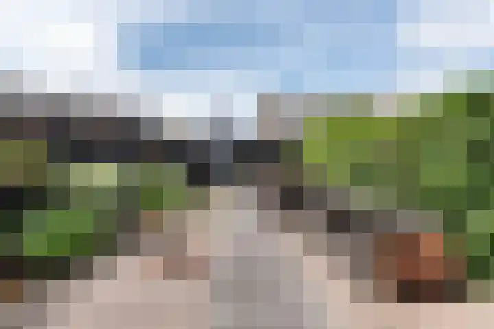 Grote Buitendijk 284 Velserbroek thumbnail 4